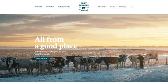 Final product DFM’s Updated Website