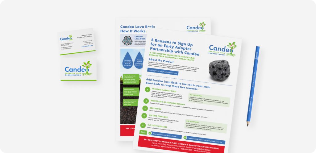 Case study for Candeo