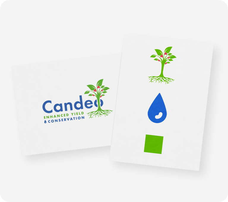 Case study for Candeo