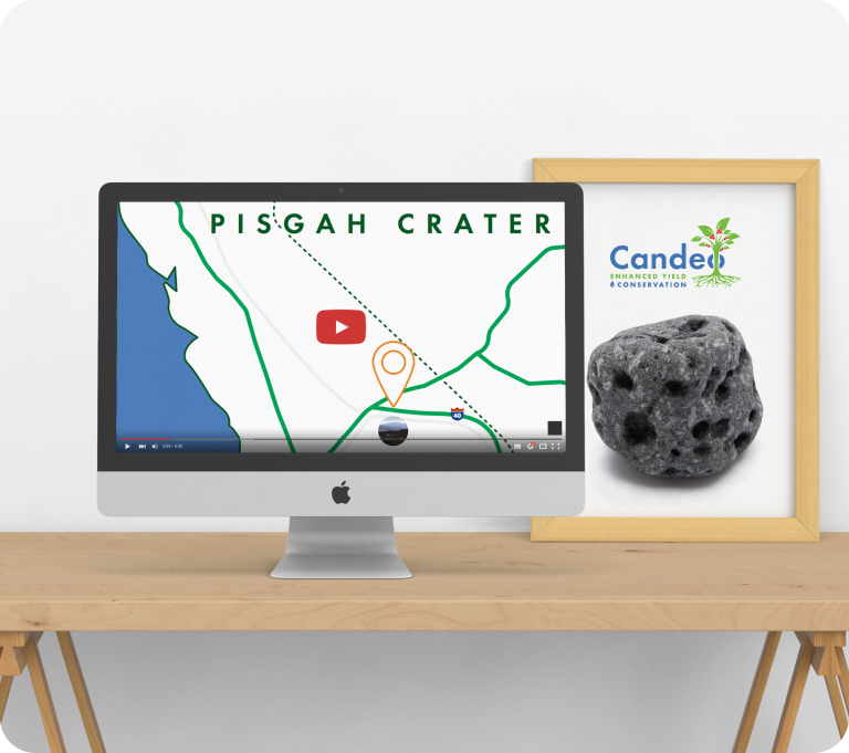 Case study for Candeo