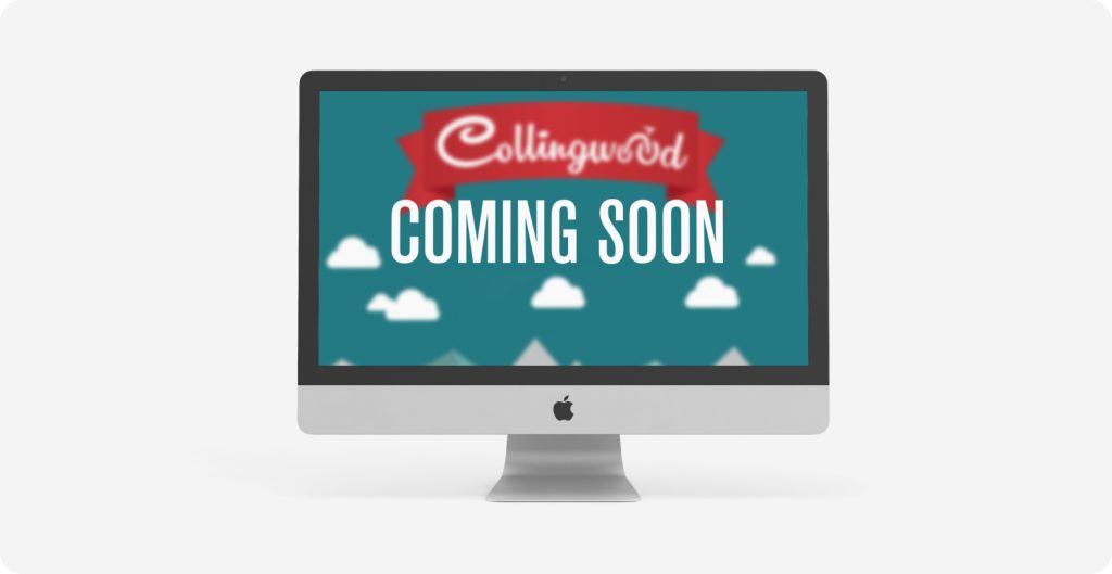 Case study for Collingwood BIA