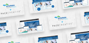 Case study for Sysmex